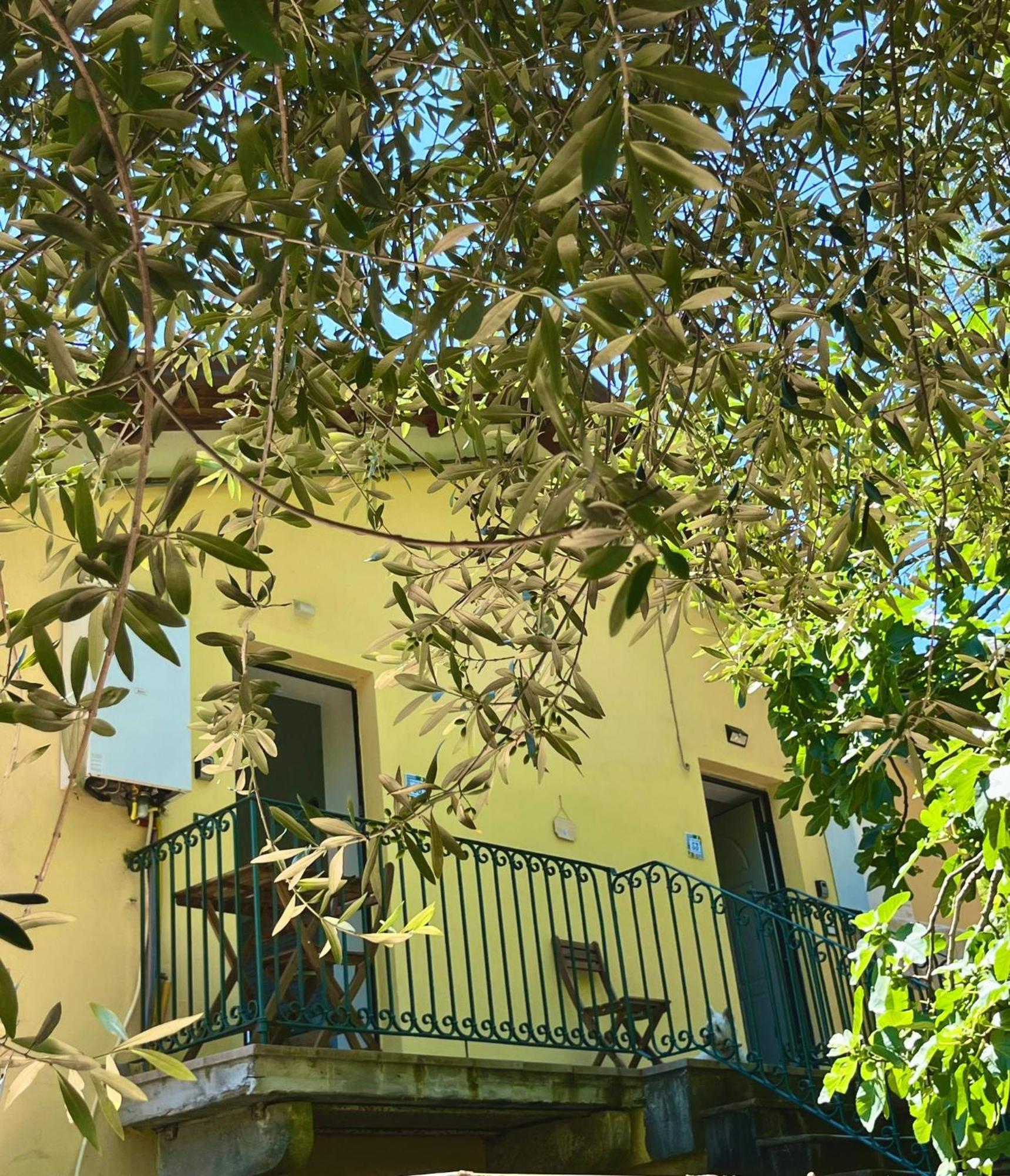 Hébergement de vacances Casa Olive 53 Monte