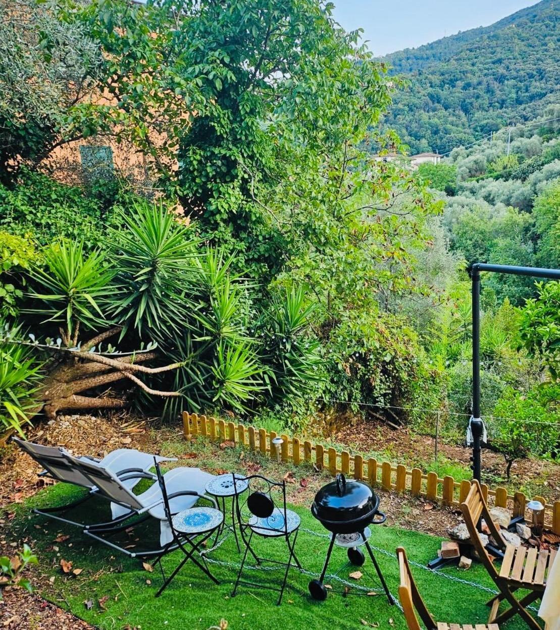 Casa Olive 53 Monte Hébergement de vacances *